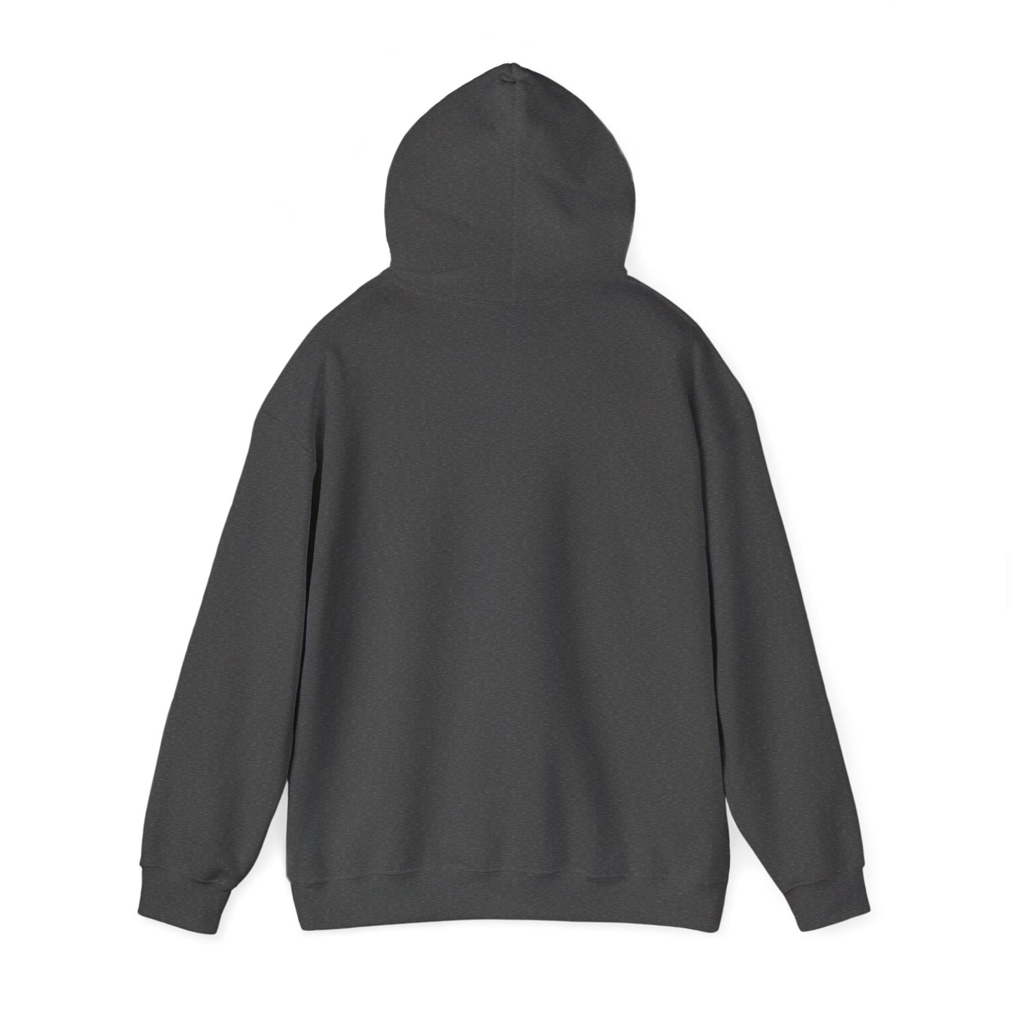 Read More Books Hoodie