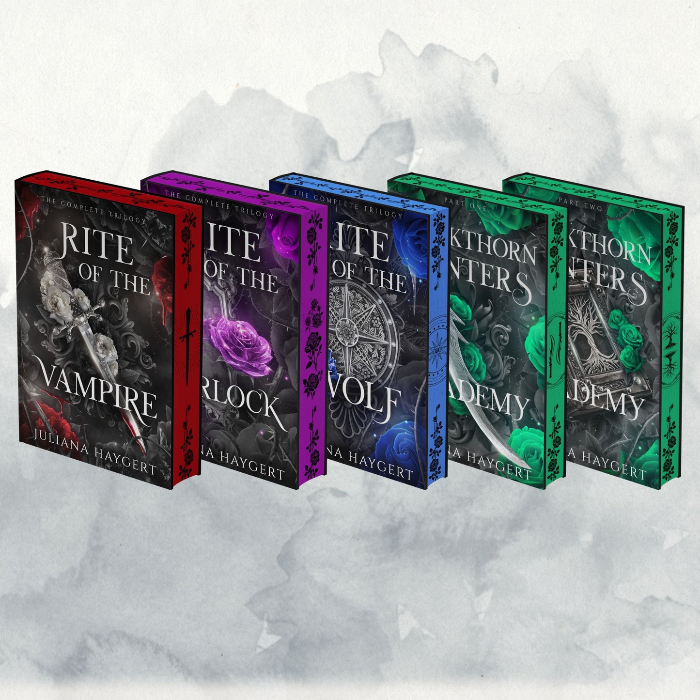 Blackthorn Hunters Academy Special Editions -- Book Box