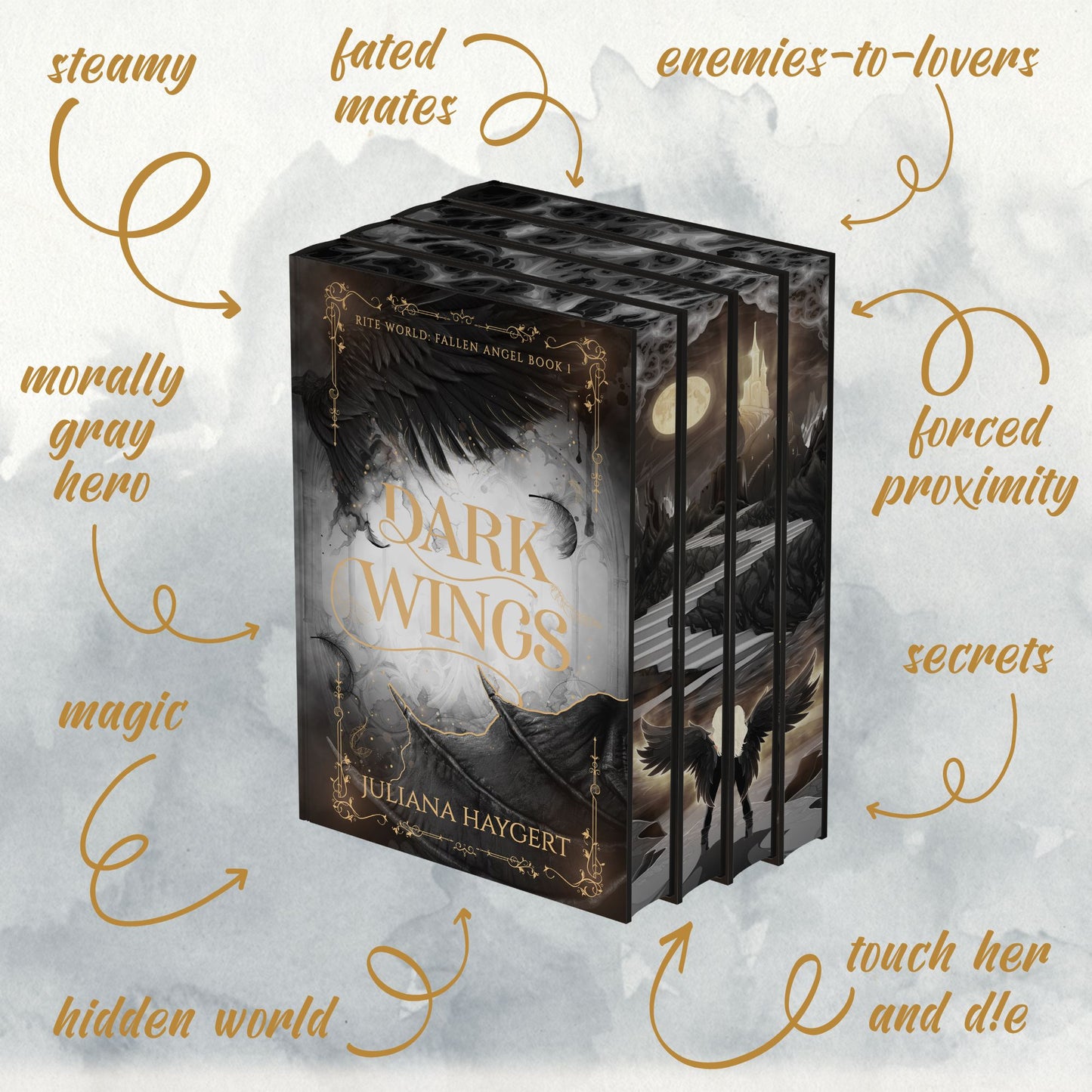 Fallen Angel Special Edition -- Book Box (Pre-order)