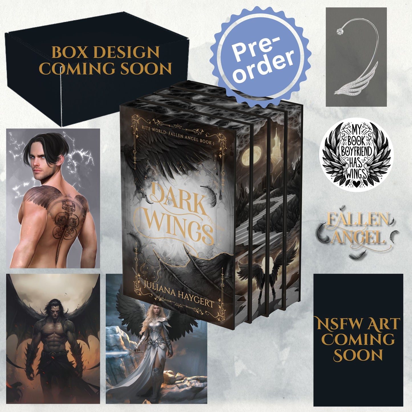 Fallen Angel Special Edition -- Book Box (Pre-order)