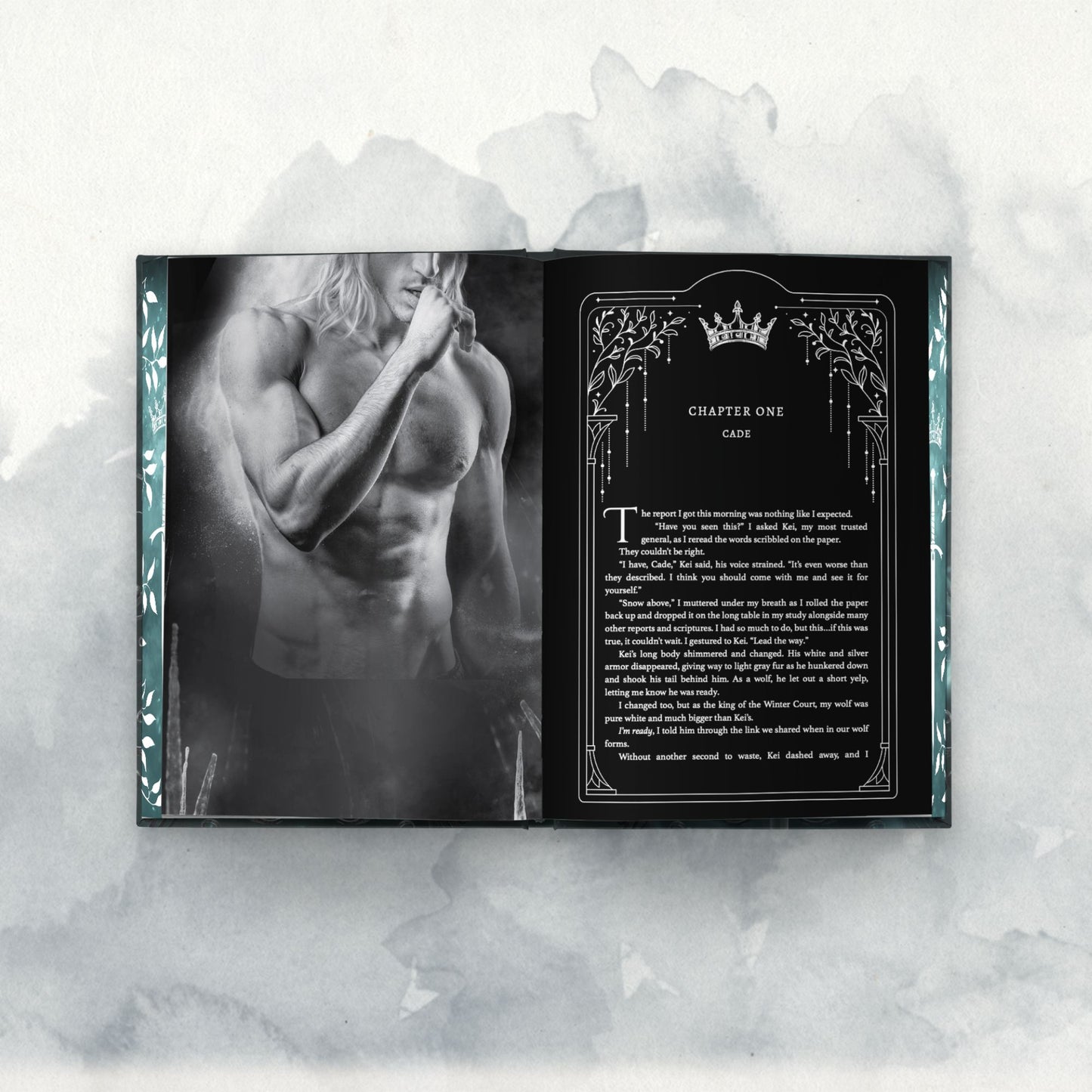 Wyth Courts Special Edition -- Book Box