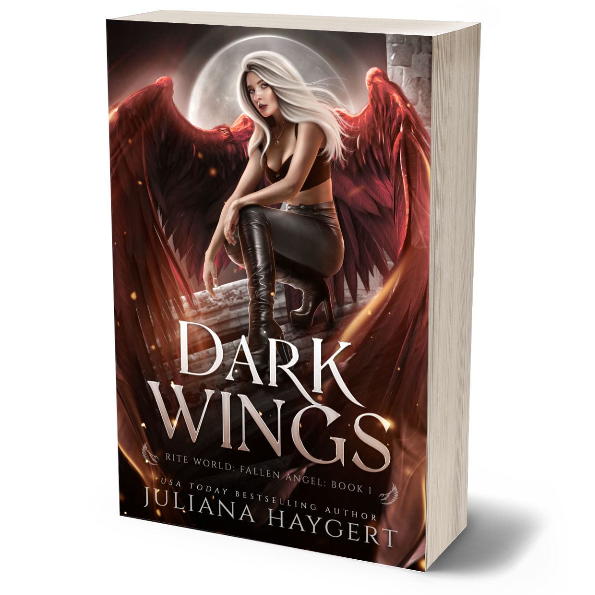 Dark Wings Paperback
