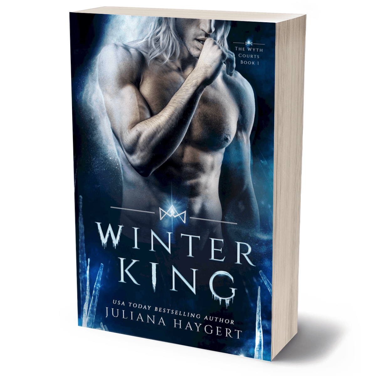 Winter King Paperback