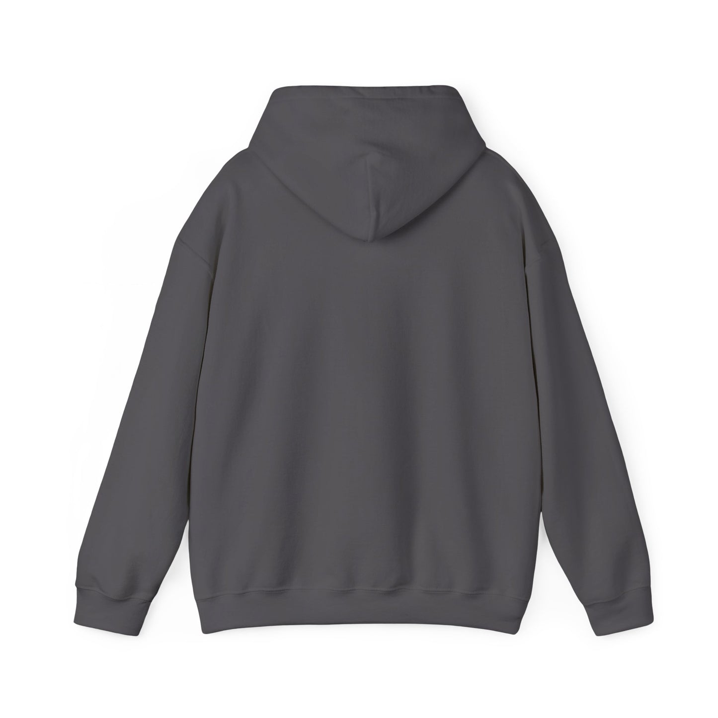 Rite World Hooded Sweatshirt