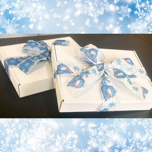 Blind Date With A Book Box - Winter Edition!