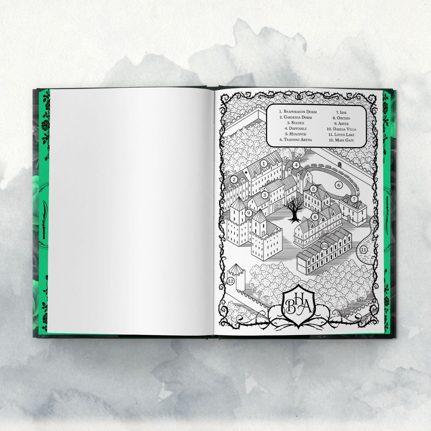 Blackthorn Hunters Academy Special Editions -- Book Box