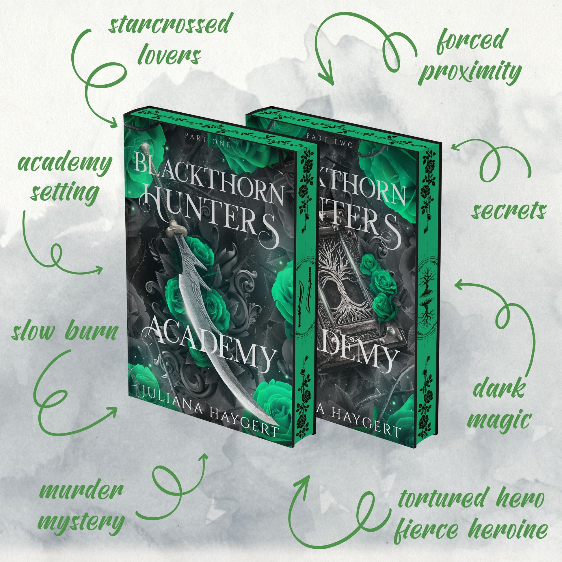 Blackthorn Hunters Academy Special Editions -- Hardcovers