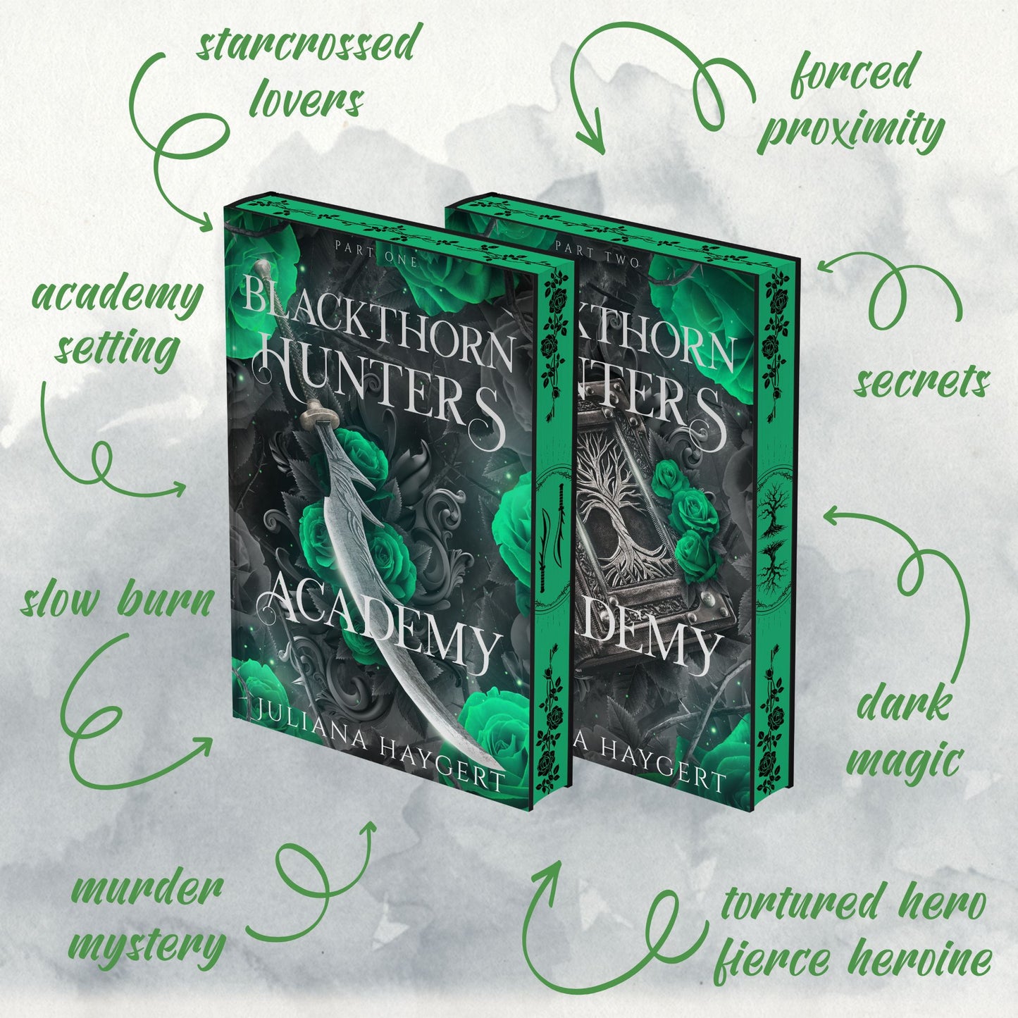 Blackthorn Hunters Academy Special Editions -- Book Box