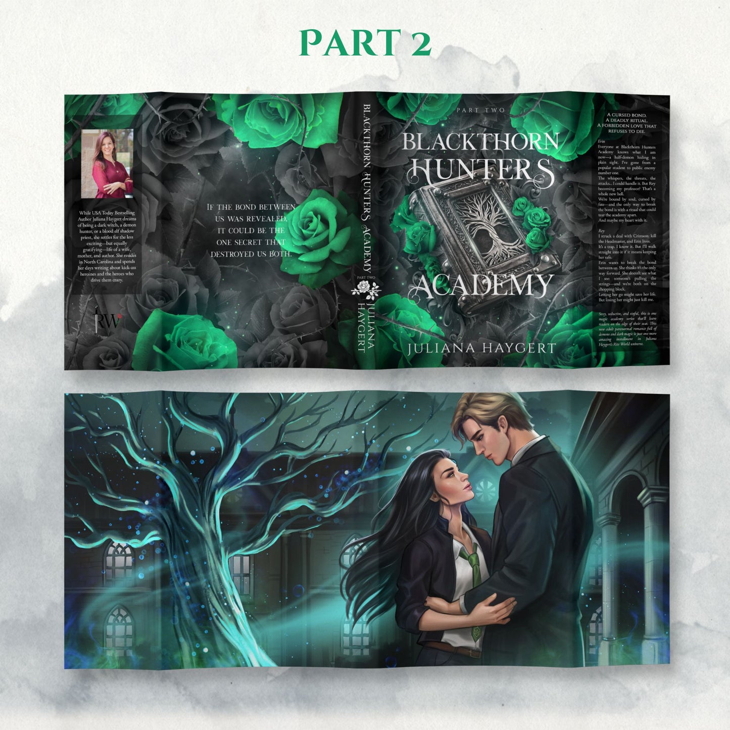 Blackthorn Hunters Academy Special Editions -- Book Box
