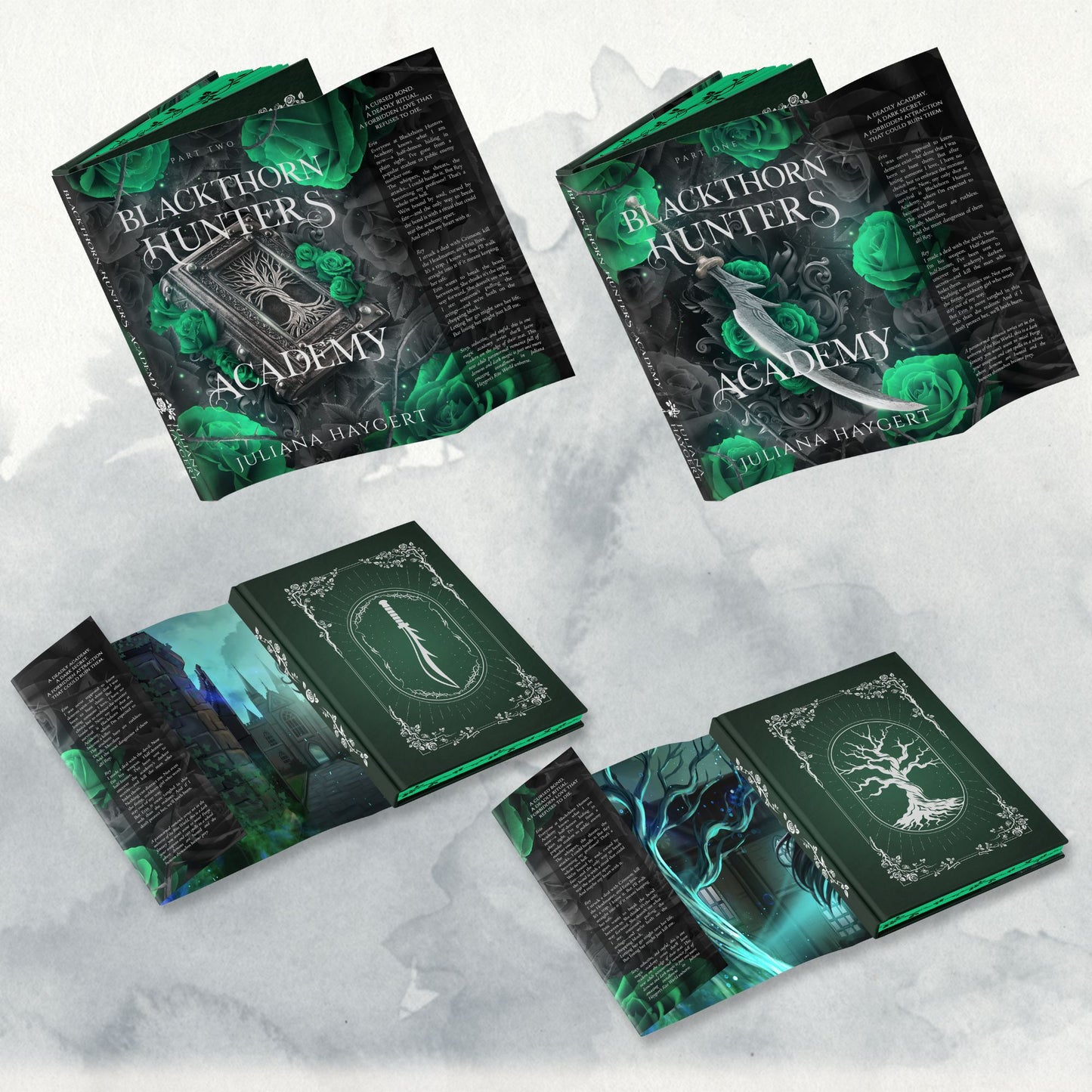 Blackthorn Hunters Academy Special Editions -- Book Box