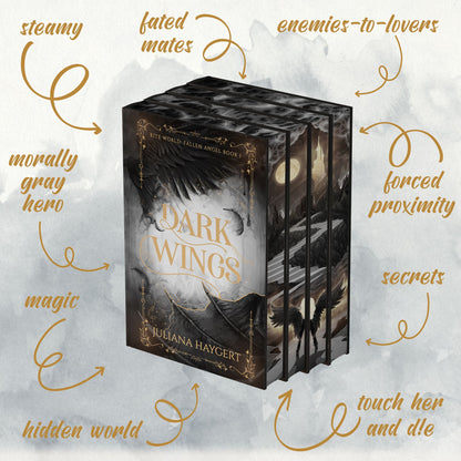 Fallen Angel Special Edition Hardcover -- Series (Pre-order)
