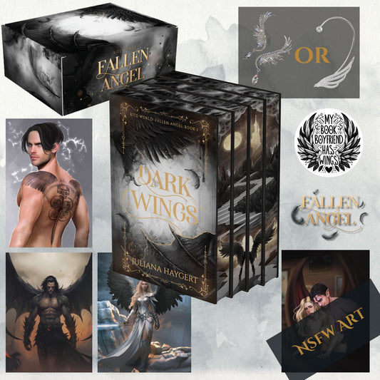 Fallen Angel Special Edition -- Book Box