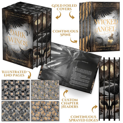 Fallen Angel Special Edition Hardcover -- Series