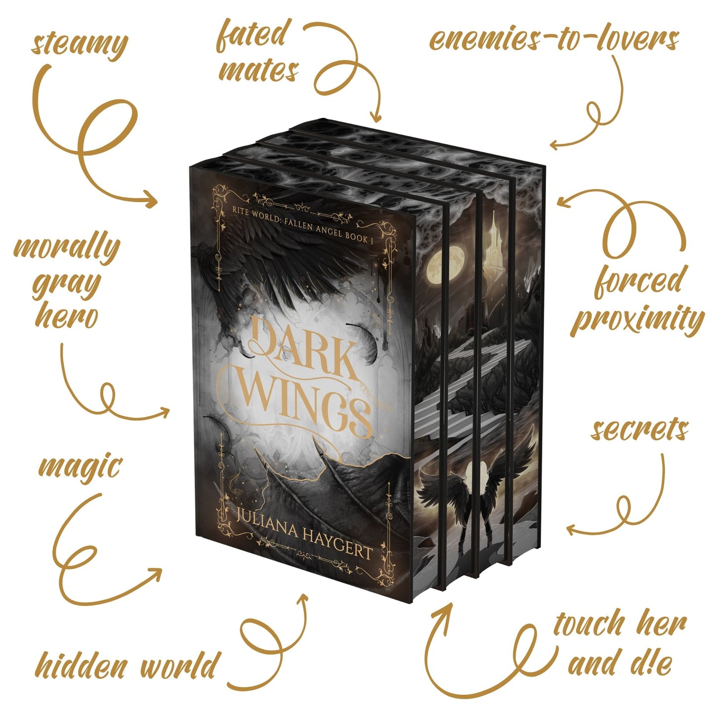 Fallen Angel Special Edition -- Book Box