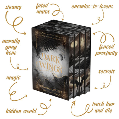 Fallen Angel Special Edition -- Book Box