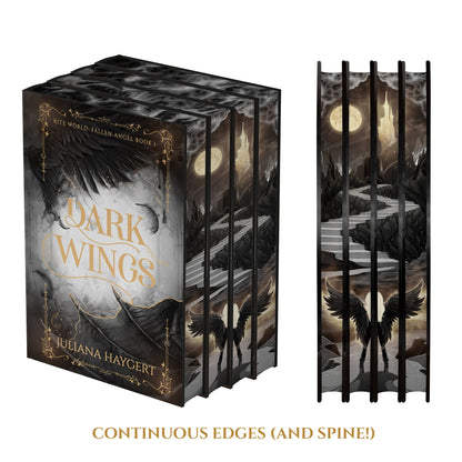 Fallen Angel Special Edition -- Book Box