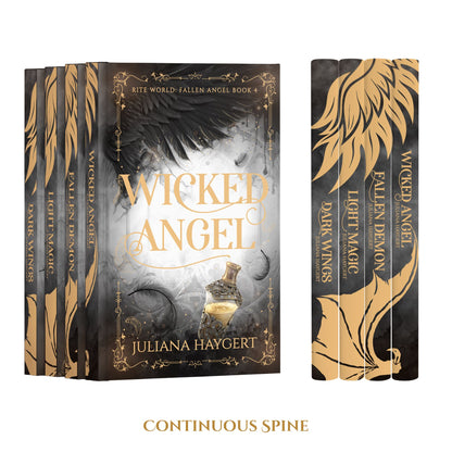 Fallen Angel Special Edition -- Book Box