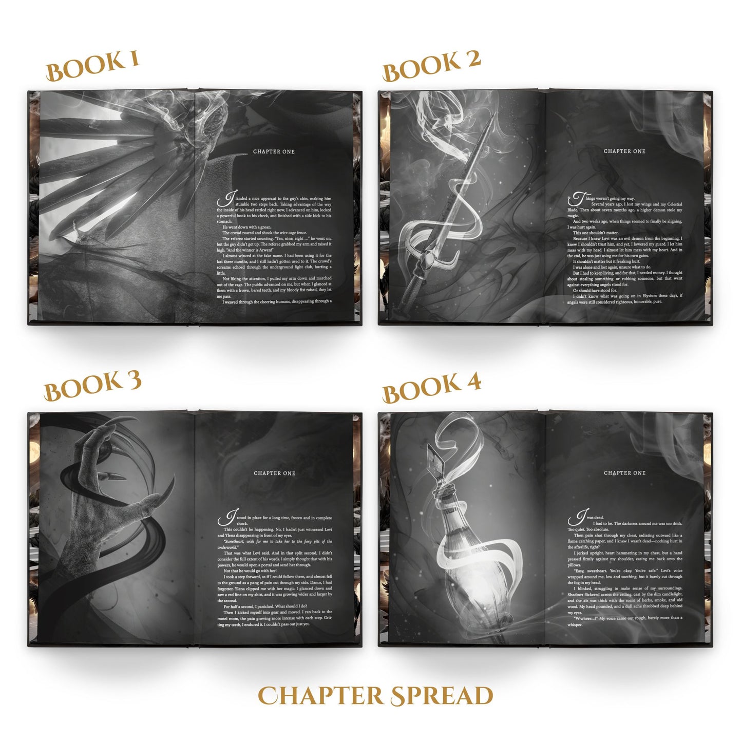 Fallen Angel Special Edition -- Book Box