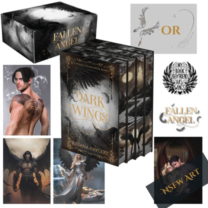 Fallen Angel Special Edition -- Book Box