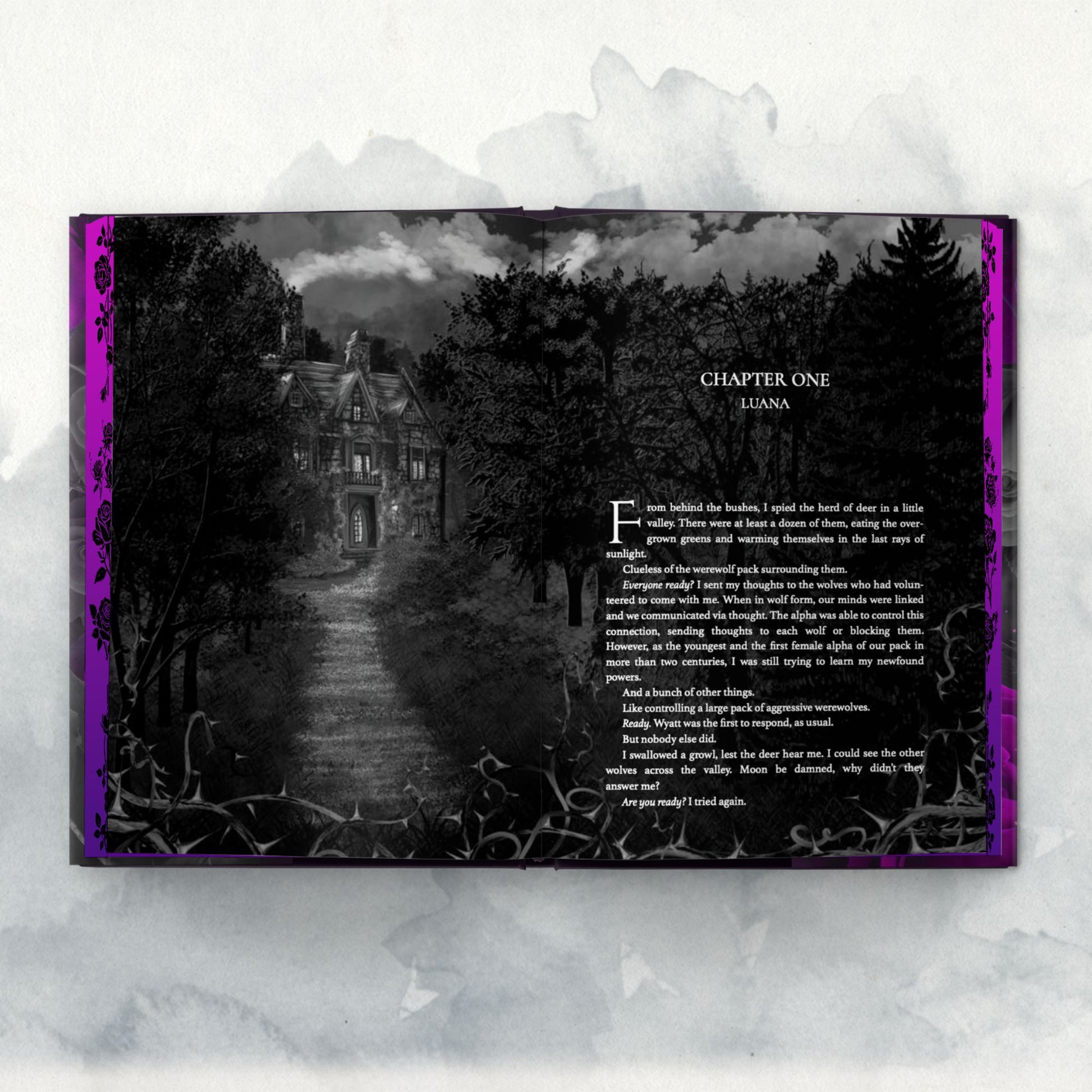Rite of the Warlock Special Edition -- Hardcover